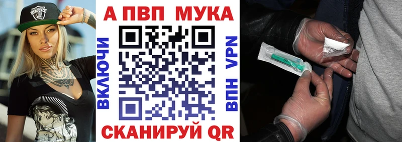 как найти   Заринск  Alfa_PVP крисы CK 