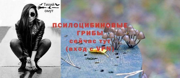молекула духа Абаза