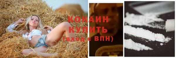 стаф Приозерск