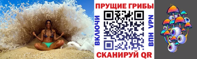Псилоцибиновые грибы MAGIC MUSHROOMS MEGA ссылки Заринск