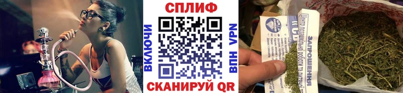 Марихуана планчик  Заринск 