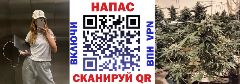 Конопля Amnesia Заринск